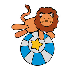 lion vector illustration