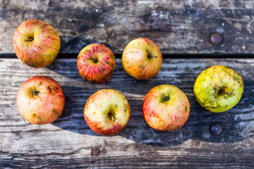 Group of wild, fresh, bruised red organic farm garden apples on wooden picnic table flat top view