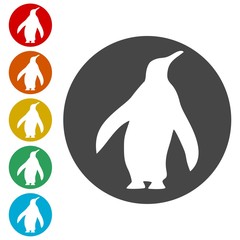 Penguin Icon - vector Illustration 