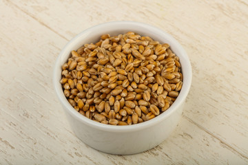 Wheat grains