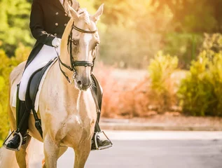 Papier Peint photo Lavable Léquitation Elegant rider woman and sorrel horse. Beautiful girl at advanced dressage test on equestrian competition. Professional female horse rider, equine theme. Saddle, bridle, boots and other details.