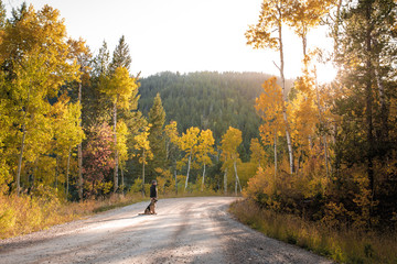 A middle aged man watches the sun set over the horizon on a dirt road with his German Shepard on a beautiful, crisp fall afternoon. - obrazy, fototapety, plakaty