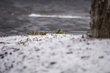 First Layer of Snow