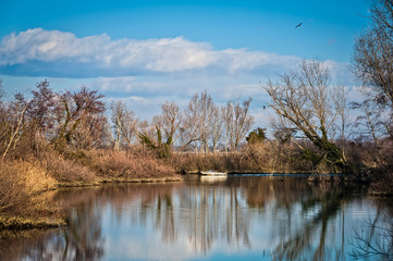 Fototapeta na wymiar Nature scene, lake ,boat and trees.