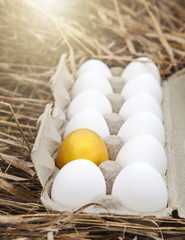Gold egg with white egg