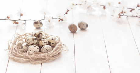 Easter composition of quail eggs in a nest with flowers on a white wooden background. Concept of a holiday with copy space. Easter light background. Toned effect.