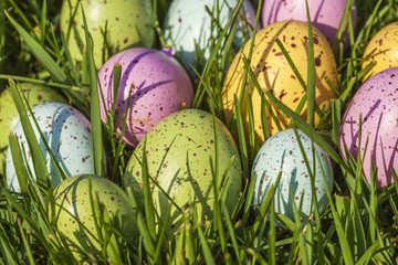 Group of colorful eggs on grass