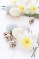 Easter composition from colored chicken and quail eggs with daffodil flowers on a white wooden background. Concept of a holiday with copy space. Easter light background. Toned effect.