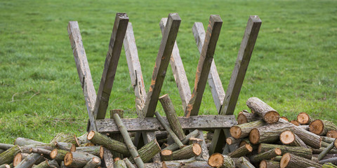 knotted willows cutted in pieces