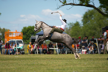 jineteada © Santa001