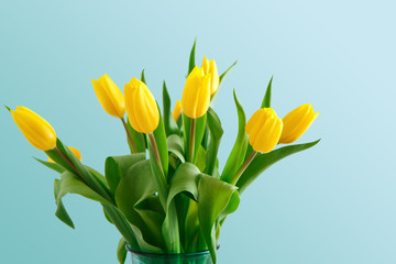Yellow tulips bouquet on blue background