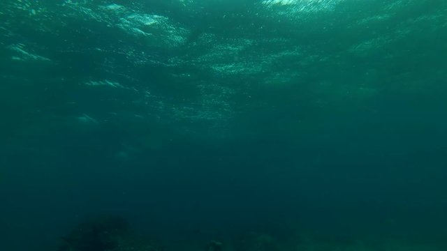Tropical storm (underwater view) 