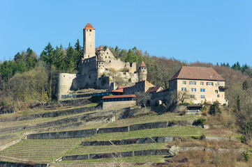 Burg Hornberg am Neckar