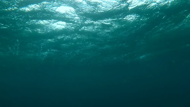 Tropical storm (underwater view) 