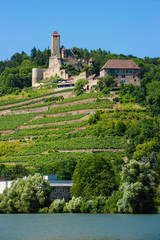 Burg Hornberg am Neckar