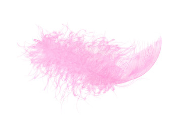 Pink light fluffy feather isolated on white background. Trendy color and minimal style.