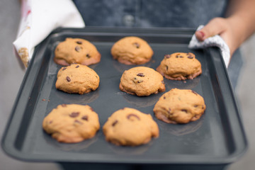 Chocolate chips cookies