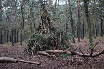 Baumhaus Tippi im Wald