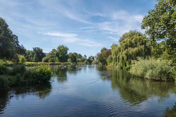 Fototapeta na wymiar A Lake in the English Countryside in the summer
