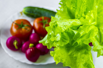 kids love vegetables and fruits.