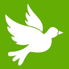  Dove icon green