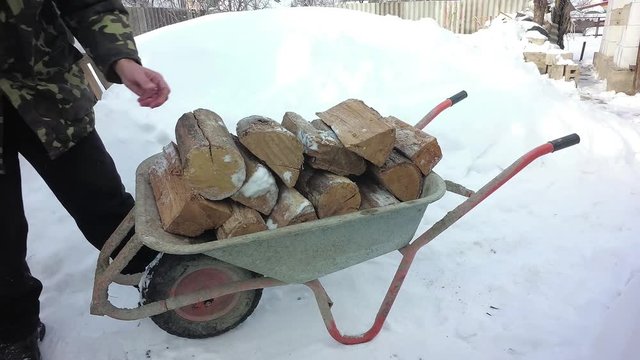 The man is putting the firewood in the wheelbarrow. Winter, snow lies. Slow motion