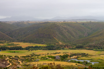 Safari in africa