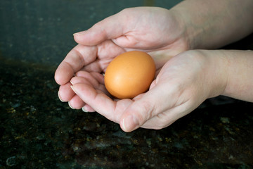 Hands cradling a brown egg.