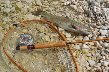 Truite, canne en bambou et &eacute;puisette