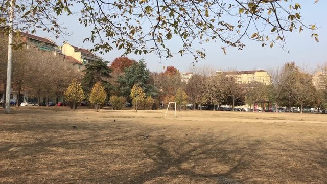 A city park in autumn with dry yellow grass due to drought in Turin, Italy.
