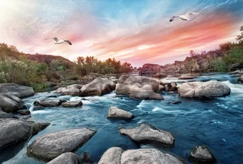 Zelfklevend Fotobehang Waterval op bergrivier met meeuwen © alexlukin