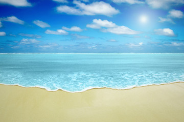 Fototapeta na wymiar Paradise beach with blank elegant sand and vawe