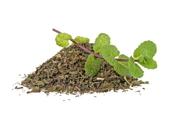 Fresh and dry mint on a white background