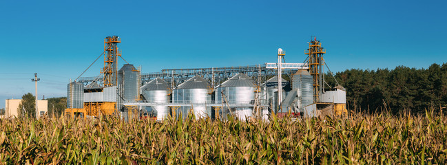 Modern Granary, Grain-drying Complex, Commercial Grain Or Seed Silos In Sunny Summer Rural Landscape. © Great Brut Here