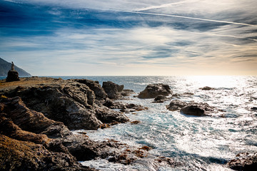 Sur les Iles du Gaou à Six-Fours-les-Plages, le Brusc
