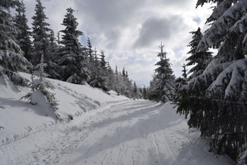 Path in mountains - winter