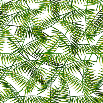 Vector seamless pattern with palm leaves. Summer illustration. Exotic tropical foliage.