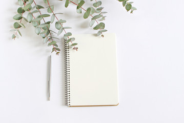 Styled stock photo. Feminine desktop mockup scene with green eucalyptus leaves, ballpoint pen and blank notebook isolated on white background. Empty space. Top view. Picture for blog. © tabitazn