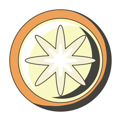 orange slice icon
