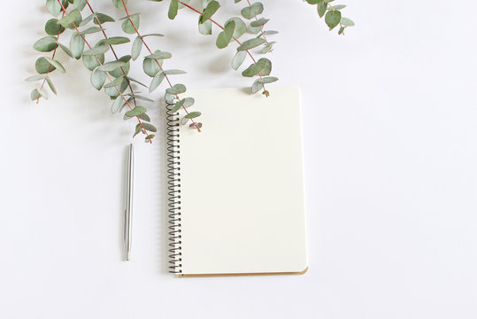 Styled stock photo. Feminine desktop mockup scene with green eucalyptus leaves, ballpoint pen and blank notebook isolated on white background. Empty space. Top view. Picture for blog.