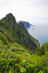 Fototapeta na wymiar Green cliffs of Madeira island near Porto da Cruz - Portugal
