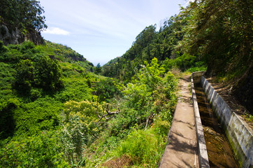 Fototapeta na wymiar Levada do Norte, Madeira island - Portugal