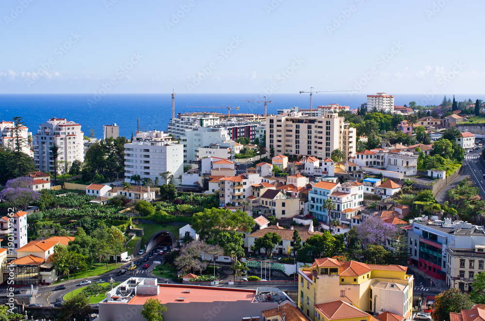 Canvas Prints Cityscape of Funchal, Madeira island, Portugal