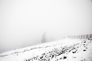 Wood fence on a snowy hill with a tree silhouette seen in fog