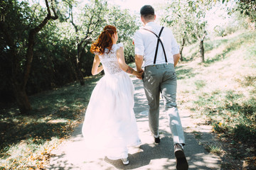 Newlyweds are walking in the garden and holding hands. Bride in white dress and groom in shirt with...
