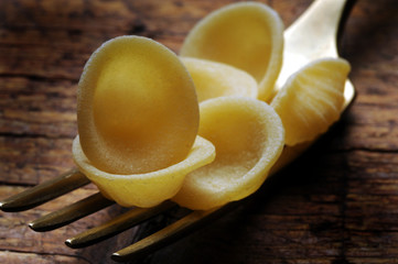 Orecchiette オレッキエッテ pugliesi 오르키에테 猫耳朵 意大利 Cucina italiana Chiangarèdde Italian cuisine orejitas sounding