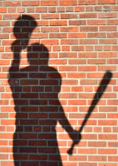 Baseball shadow