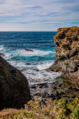 Sur les Iles du Gaou à Six-Fours-les-Plages, le Brusc