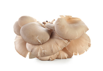 Raw oyster mushrooms on white background