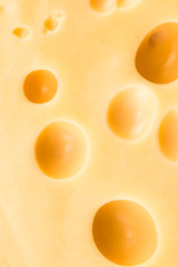  Texture of the cheese. Pattern of cheese with large holes